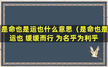 是命也是运也什么意思（是命也是运也 缓缓而行 为名乎为利乎 坐坐再去的意思）